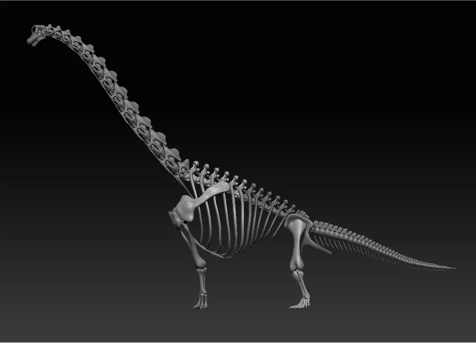 Brachiosaurus Skeleton 3D print model_0