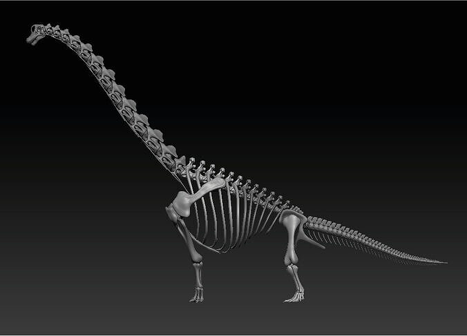 Brachiosaurus Skeleton 3D print model