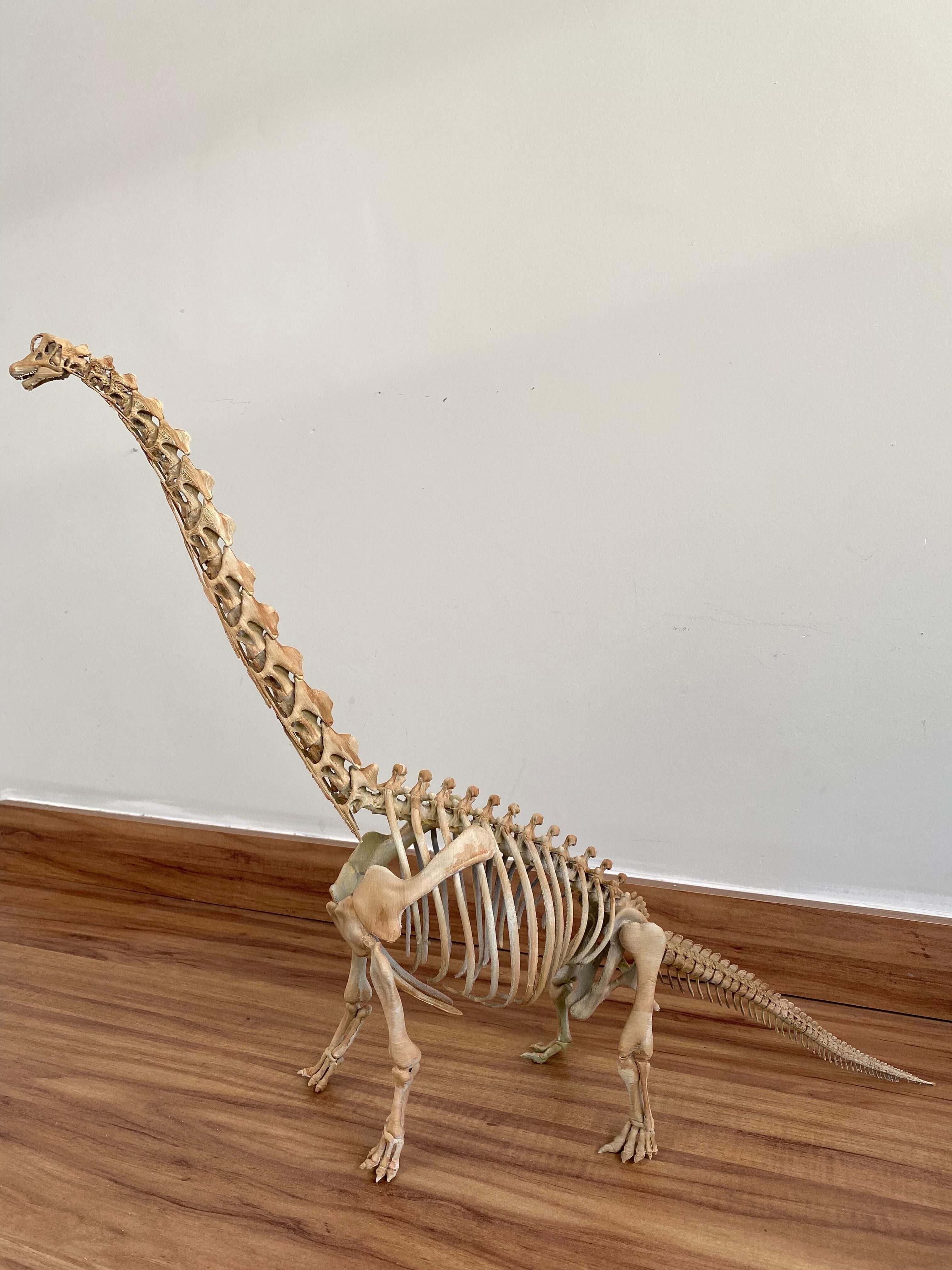 Brachiosaurus Skeleton 3D print model_11