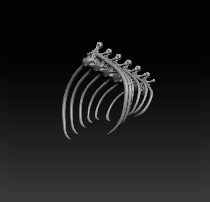 Brachiosaurus Skeleton 3D print model_5