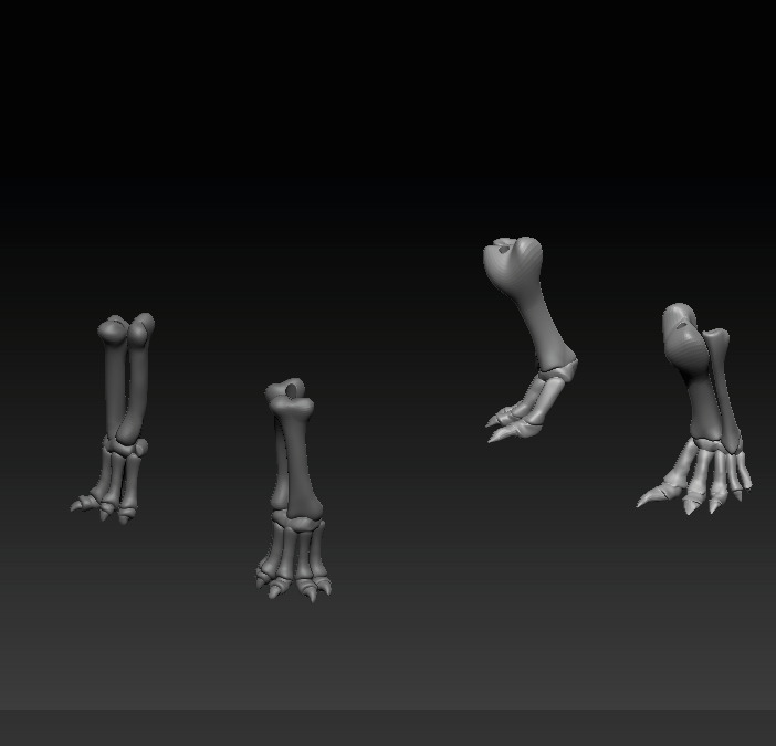 Brachiosaurus Skeleton 3D print model_10