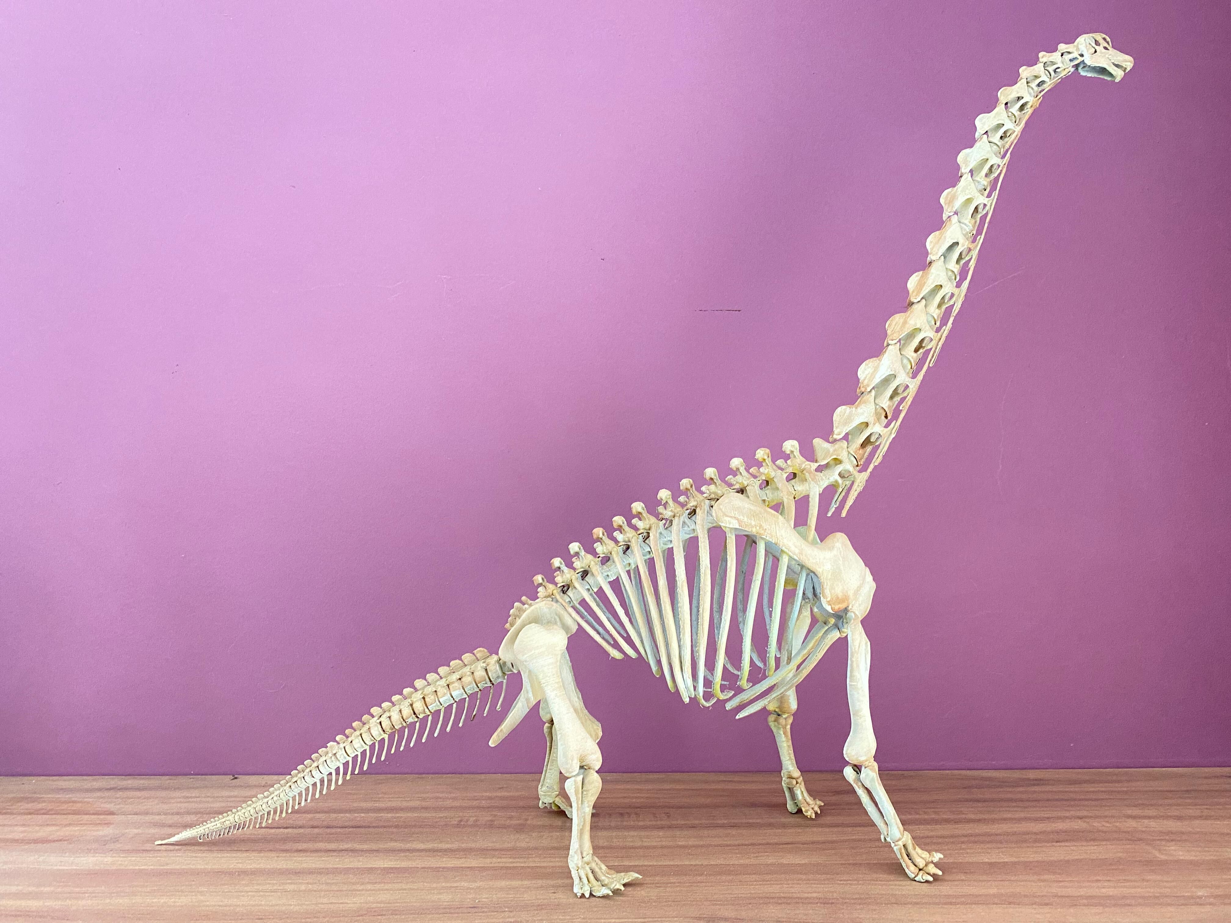 Brachiosaurus Skeleton 3D print model_13