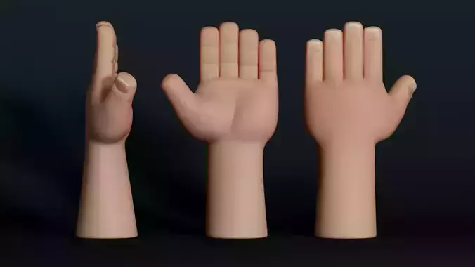 Stylized Toon Hand Rig Low poly 3D Model Low-poly 3D model