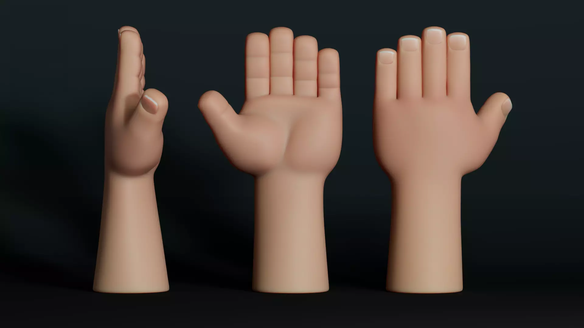 Stylized Toon Hand Rig Low poly 3D Model Low-poly 3D model_0