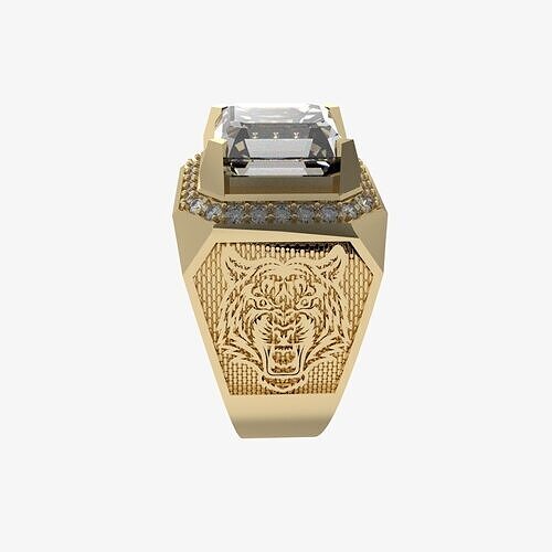 Men Ring 209 3D print model