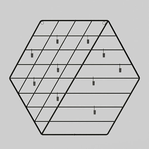 Hexagon Metal Photo Grid 3D model