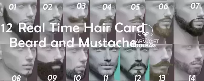 14 real-time haircard beard mustache pack02