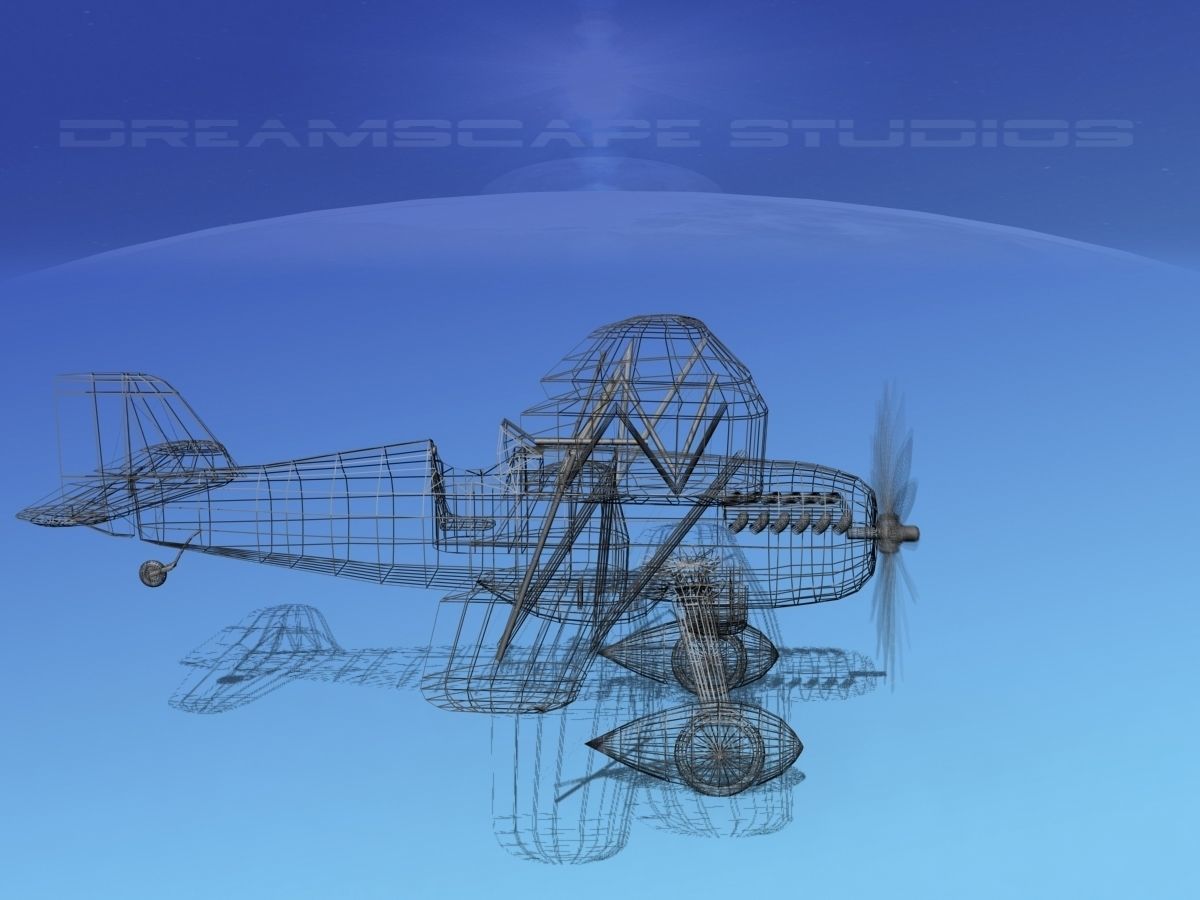 Curtiss P-6E Hawk V06 3D model_14