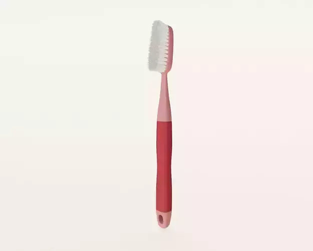 Mini Brush Tooth Brush
