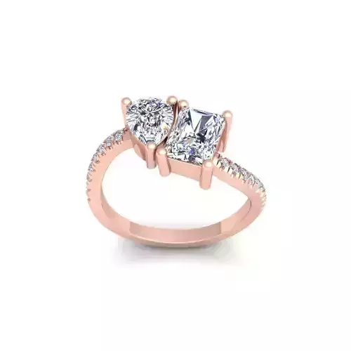 2 Stone With Shank Diamond Ring 3d Model and Render  3D print model