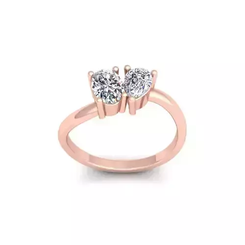 2 Stone Diamond Ring 3d Model and Render 3D print model
