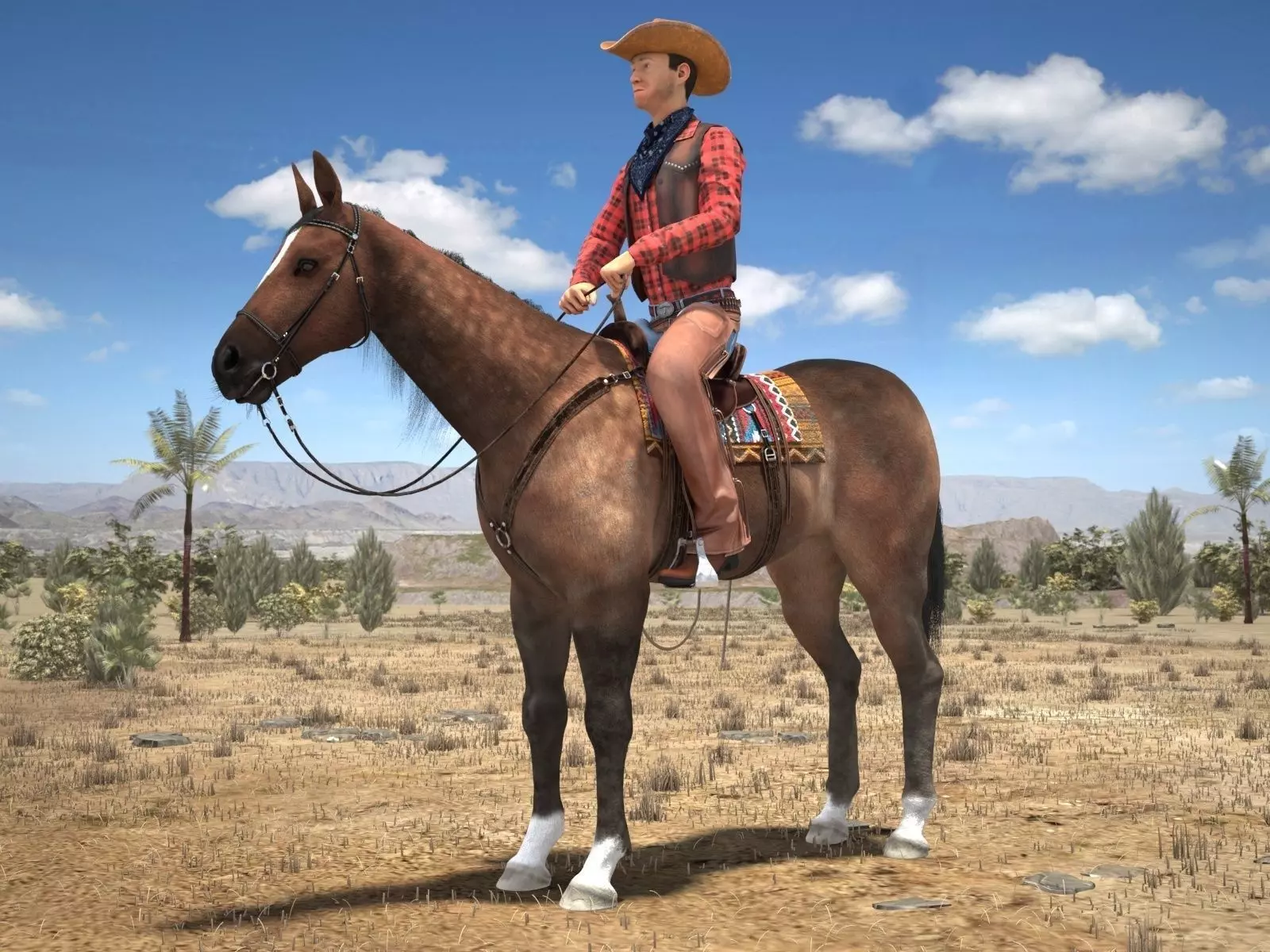 Cowboy on the Horse 3D model_0