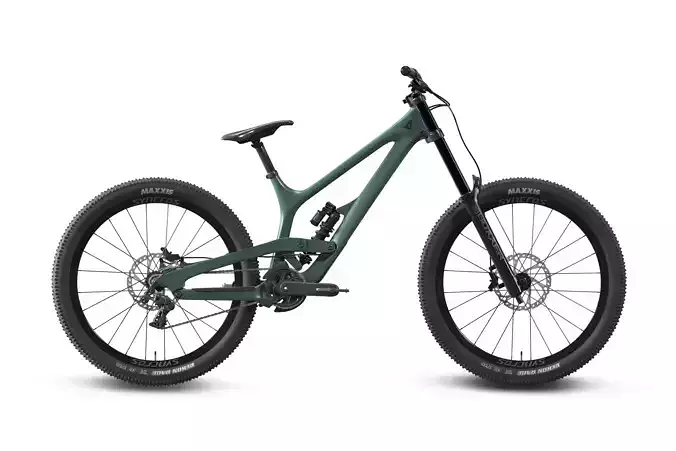 Downhill Mountain Bike