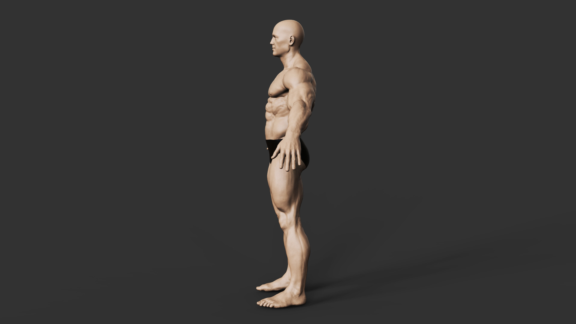 Bodybuilder 3D print model_2