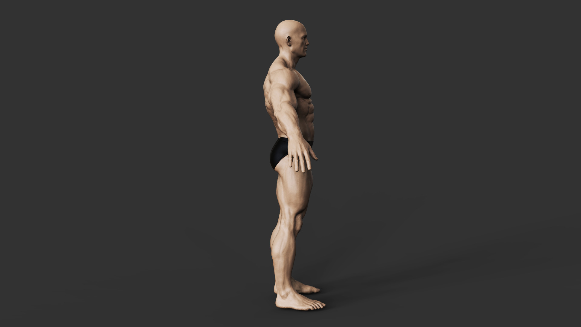 Bodybuilder 3D print model_6