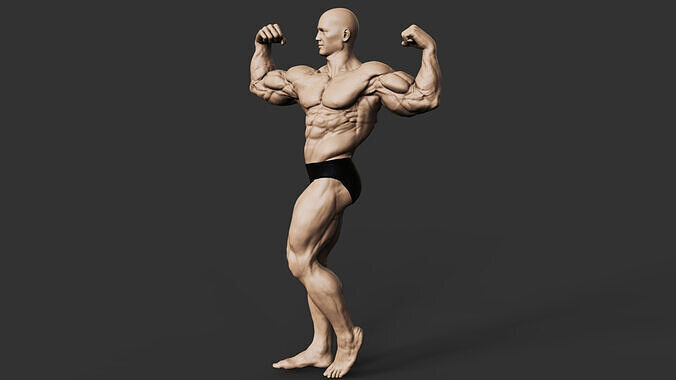 Bodybuilder 3D print model