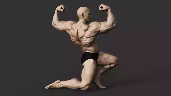 Bodybuilder 3D print model