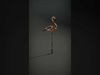 Rustic Flamingo Garden Decor Model Pack Low-poly 3D model_2