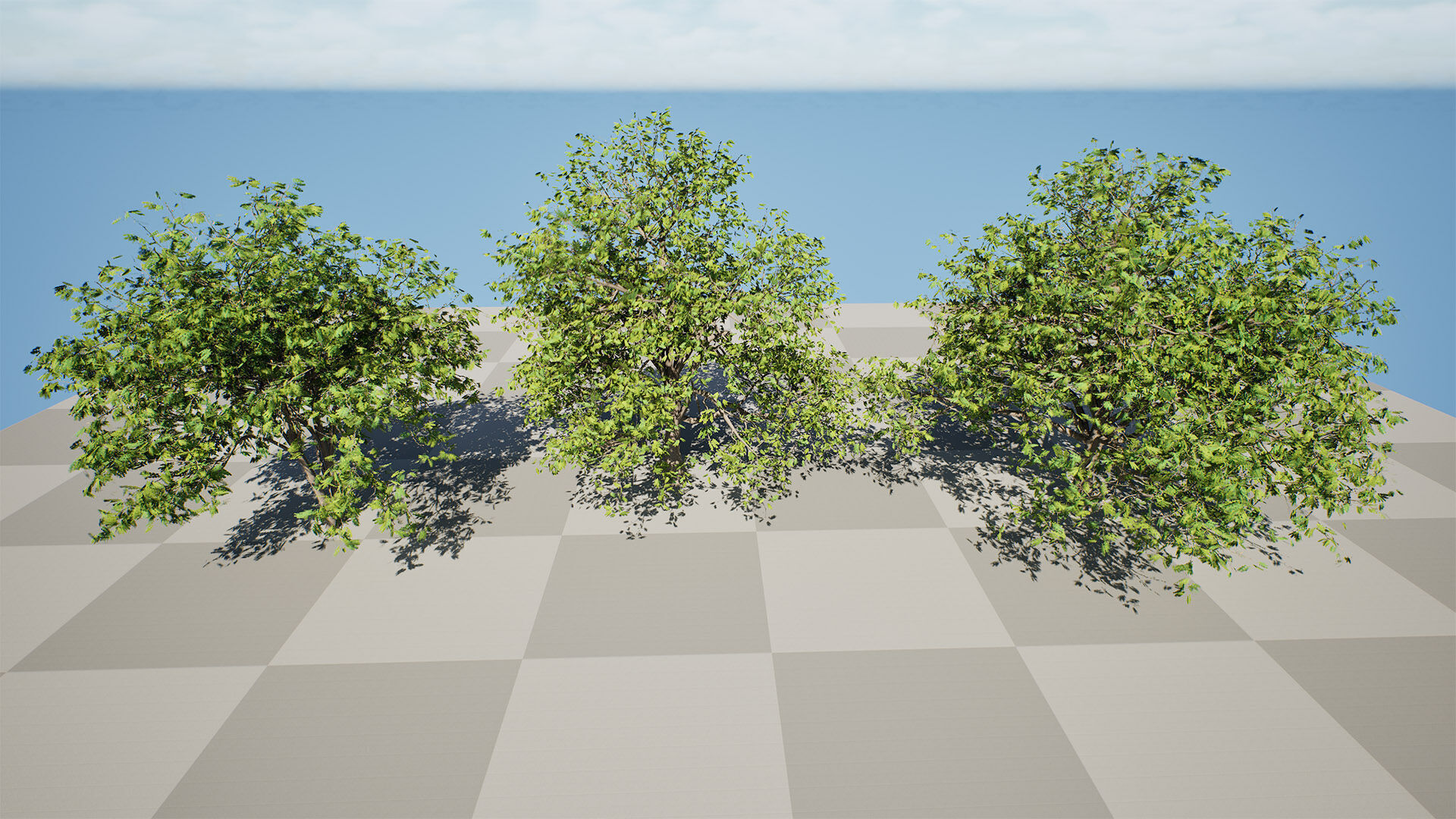 Walnut Tree 3D Model Low-poly 3D model_8