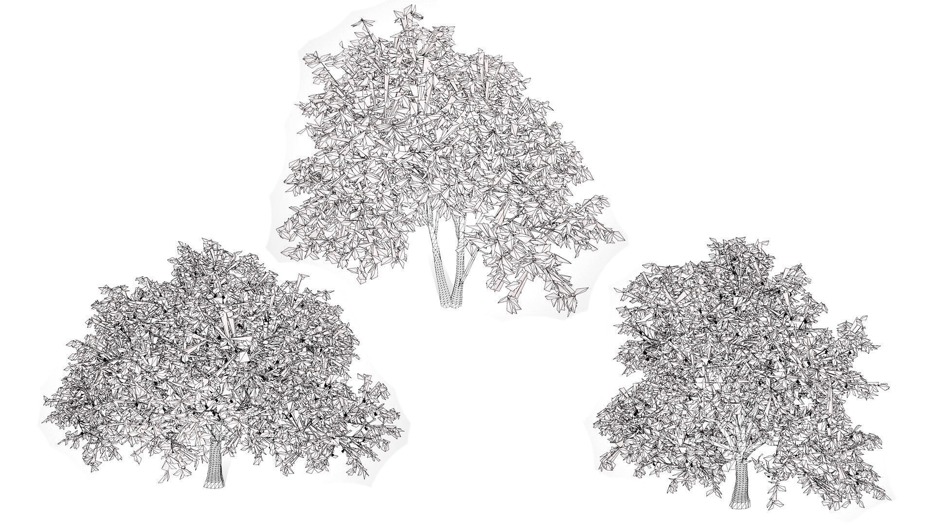 Walnut Tree 3D Model Low-poly 3D model_9