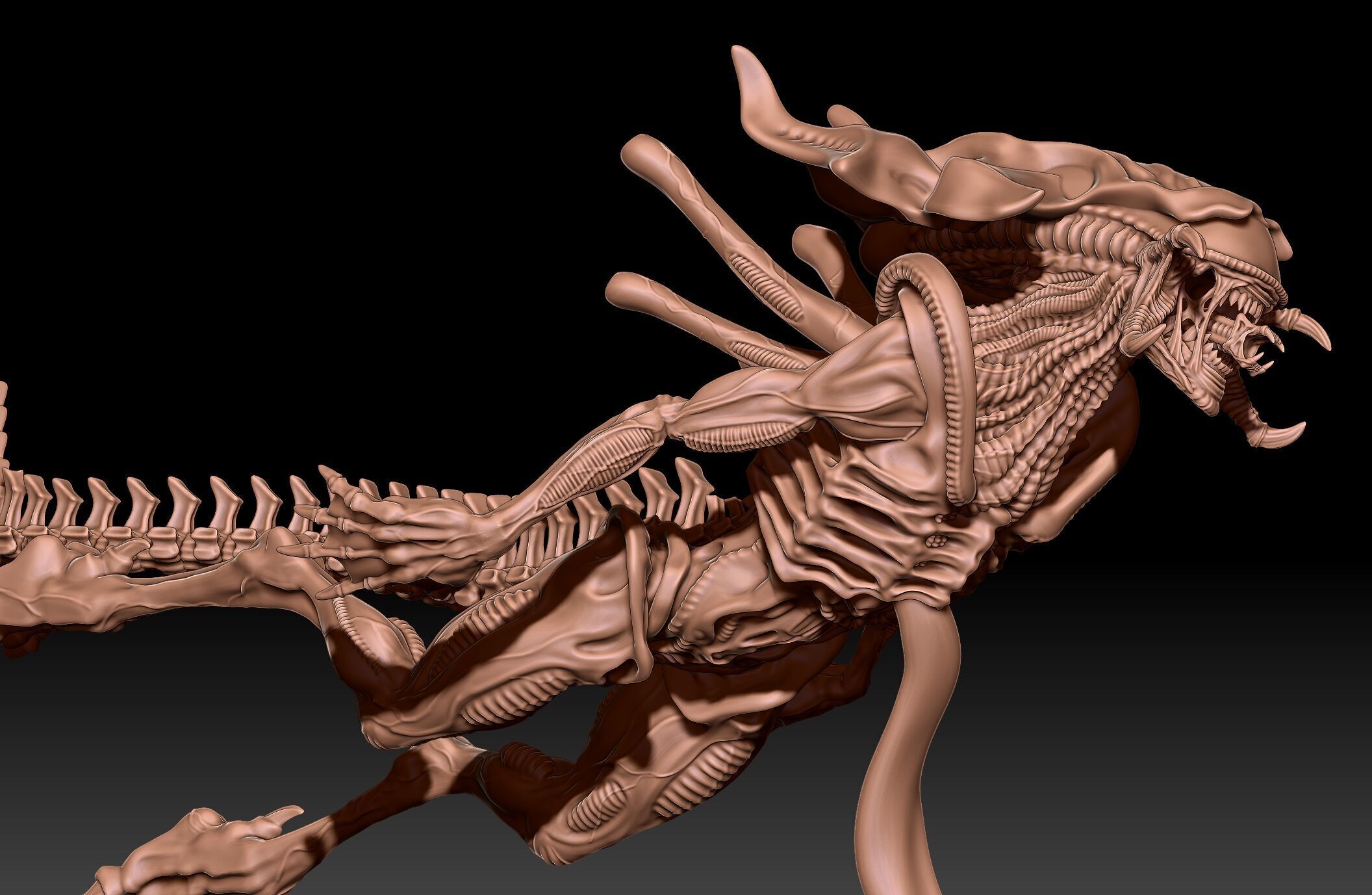 Aqua Predalien 3D print model_3