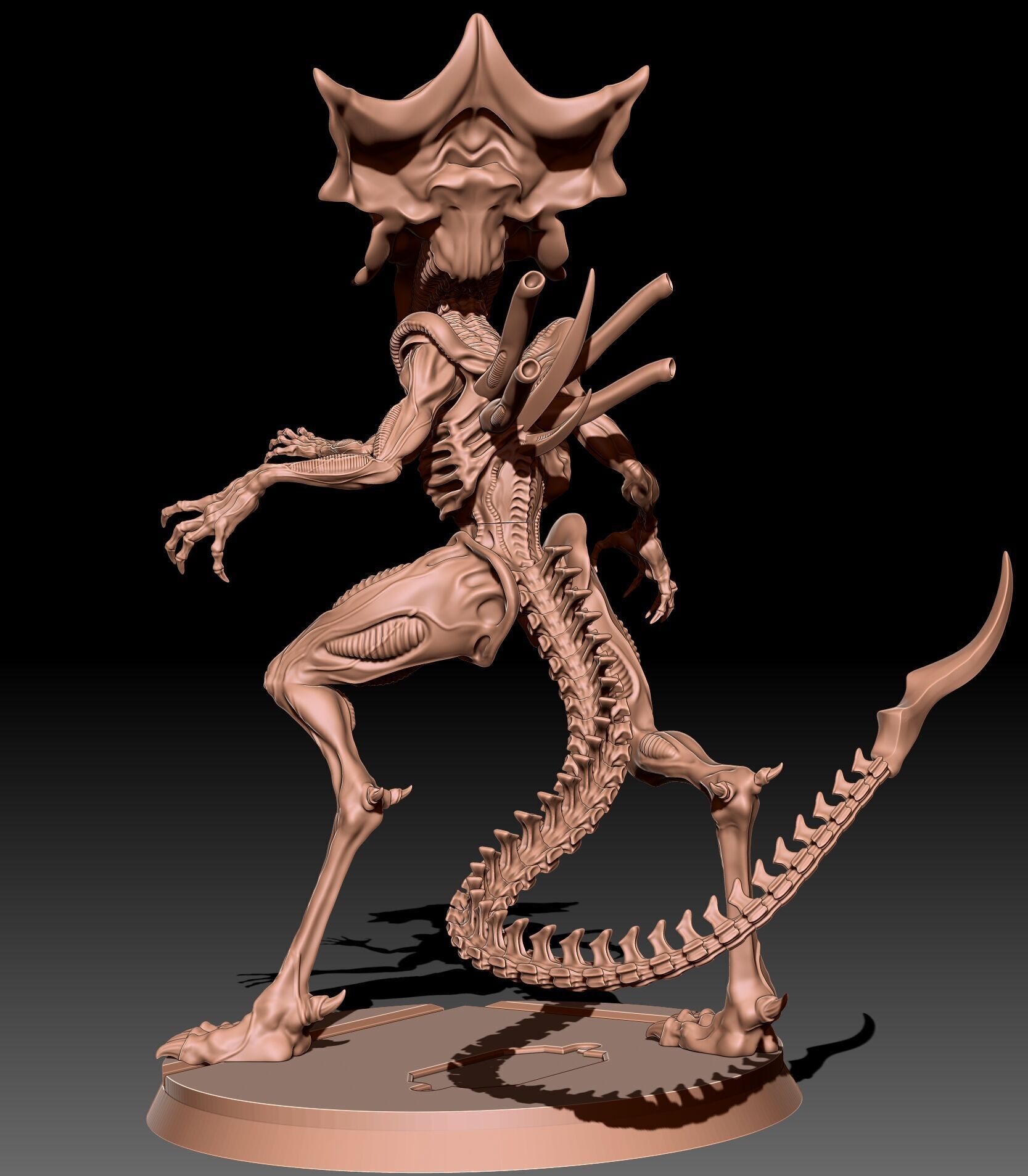 Queen Xenomorph 3D print model_2