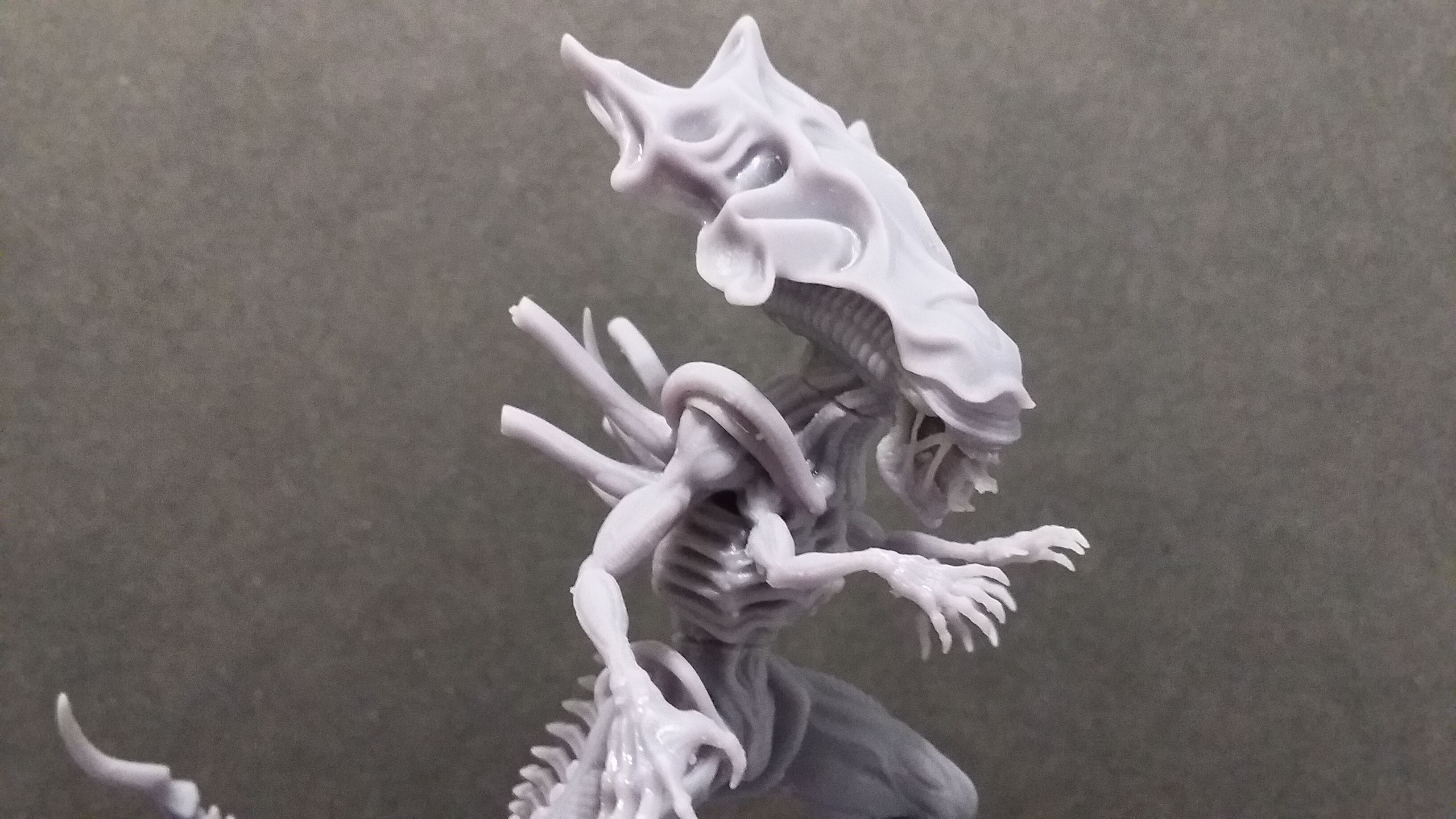 Queen Xenomorph 3D print model_11