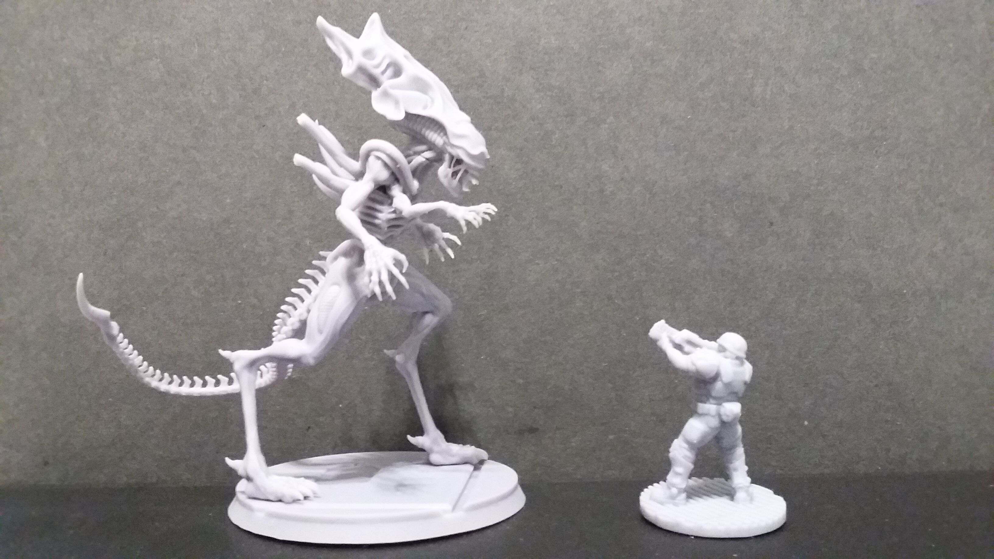 Queen Xenomorph 3D print model_10