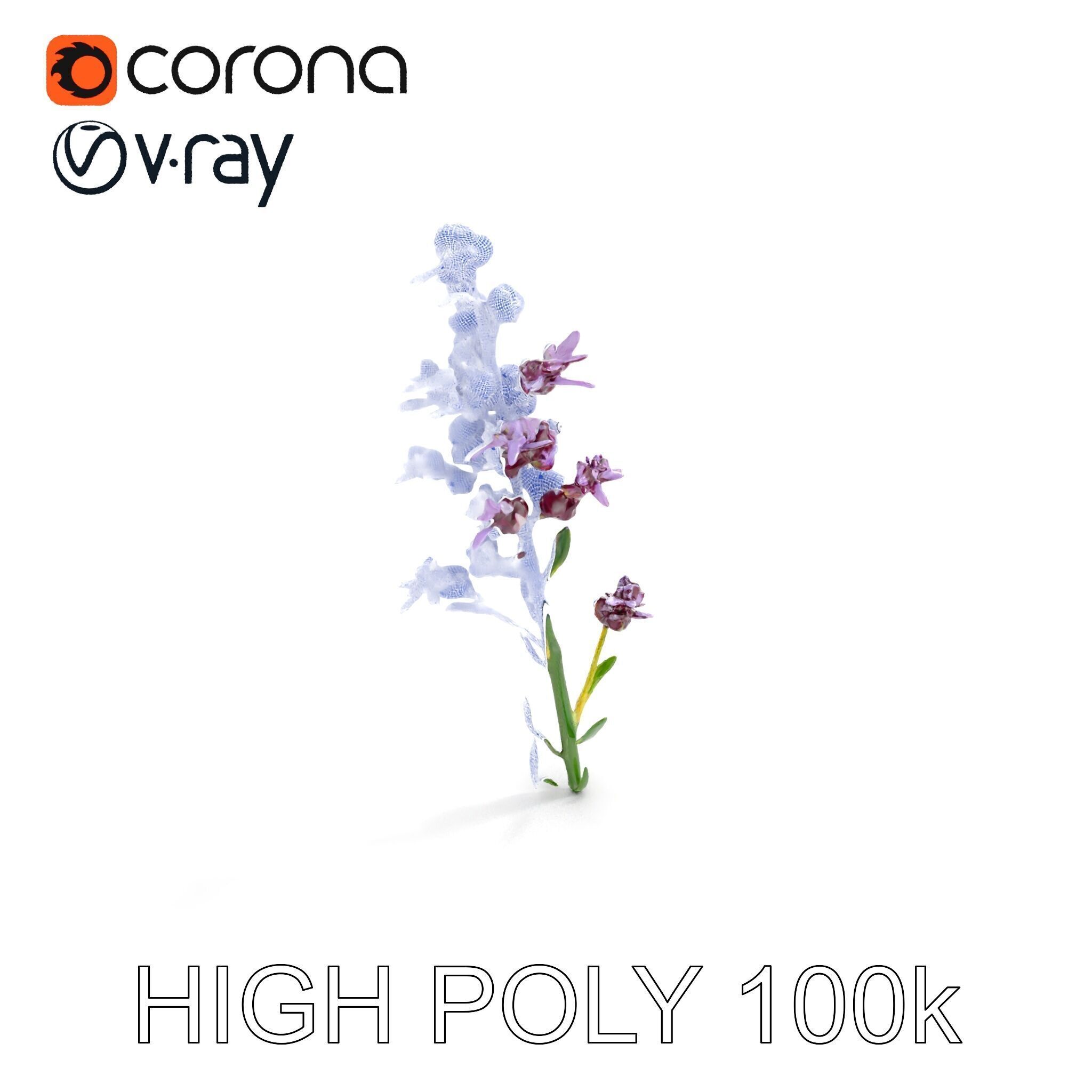 Lavender Flower D Model Pack Low-poly 3D model_33