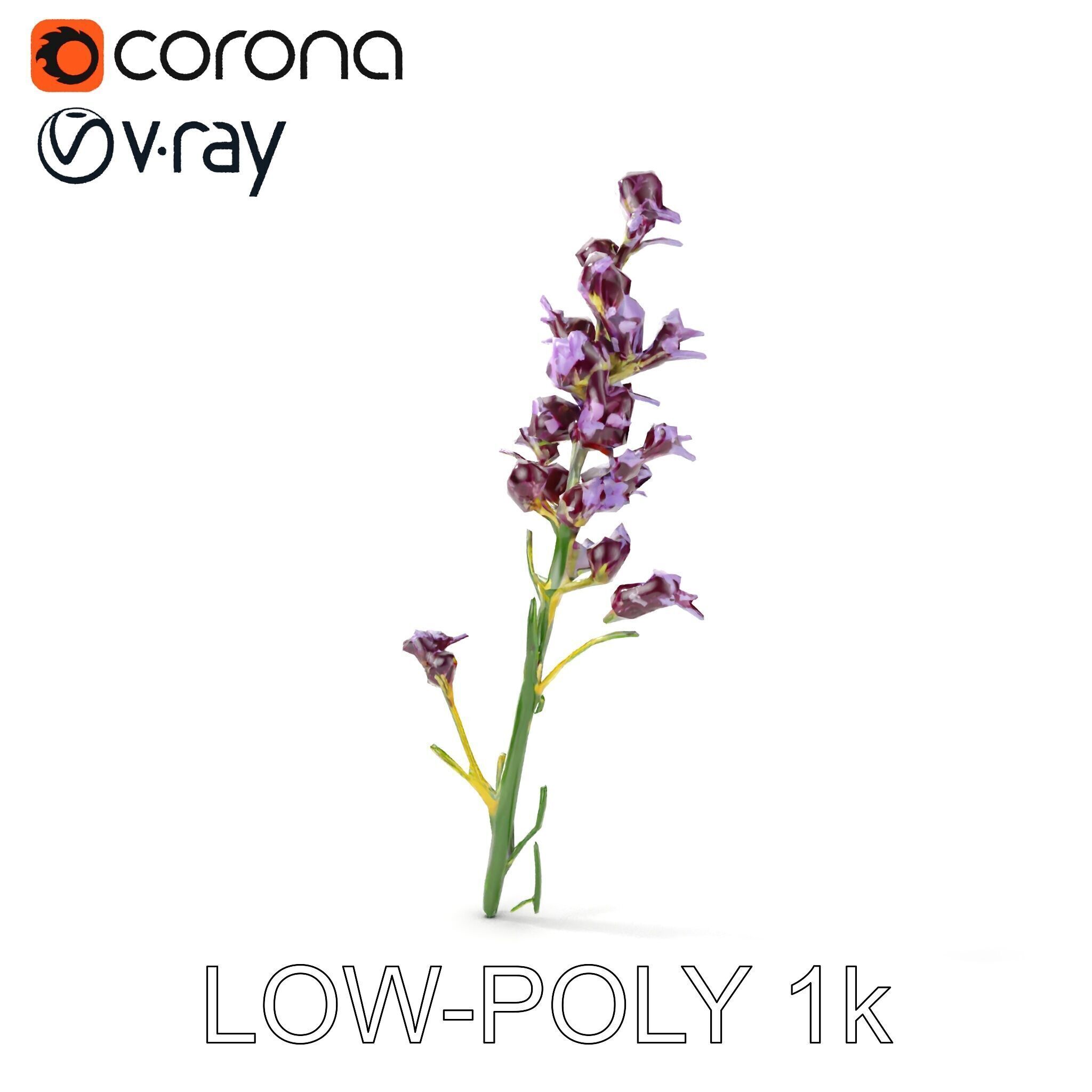 Lavender Flower D Model Pack Low-poly 3D model_15