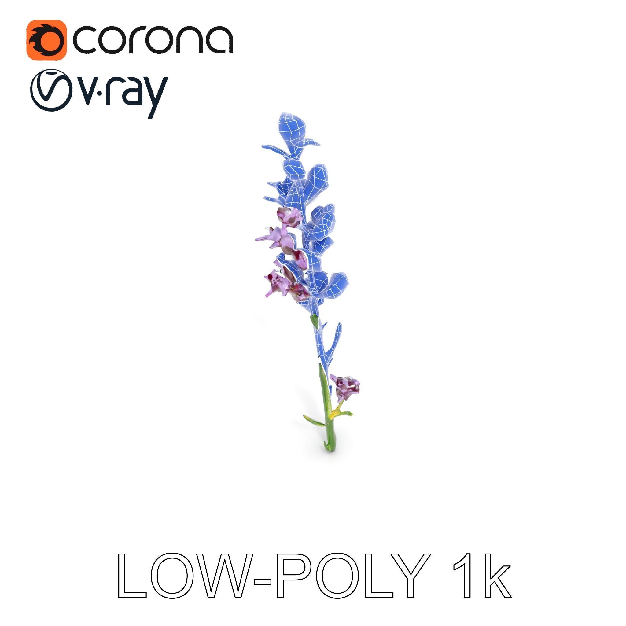 Lavender Flower D Model Pack Low-poly 3D model_17
