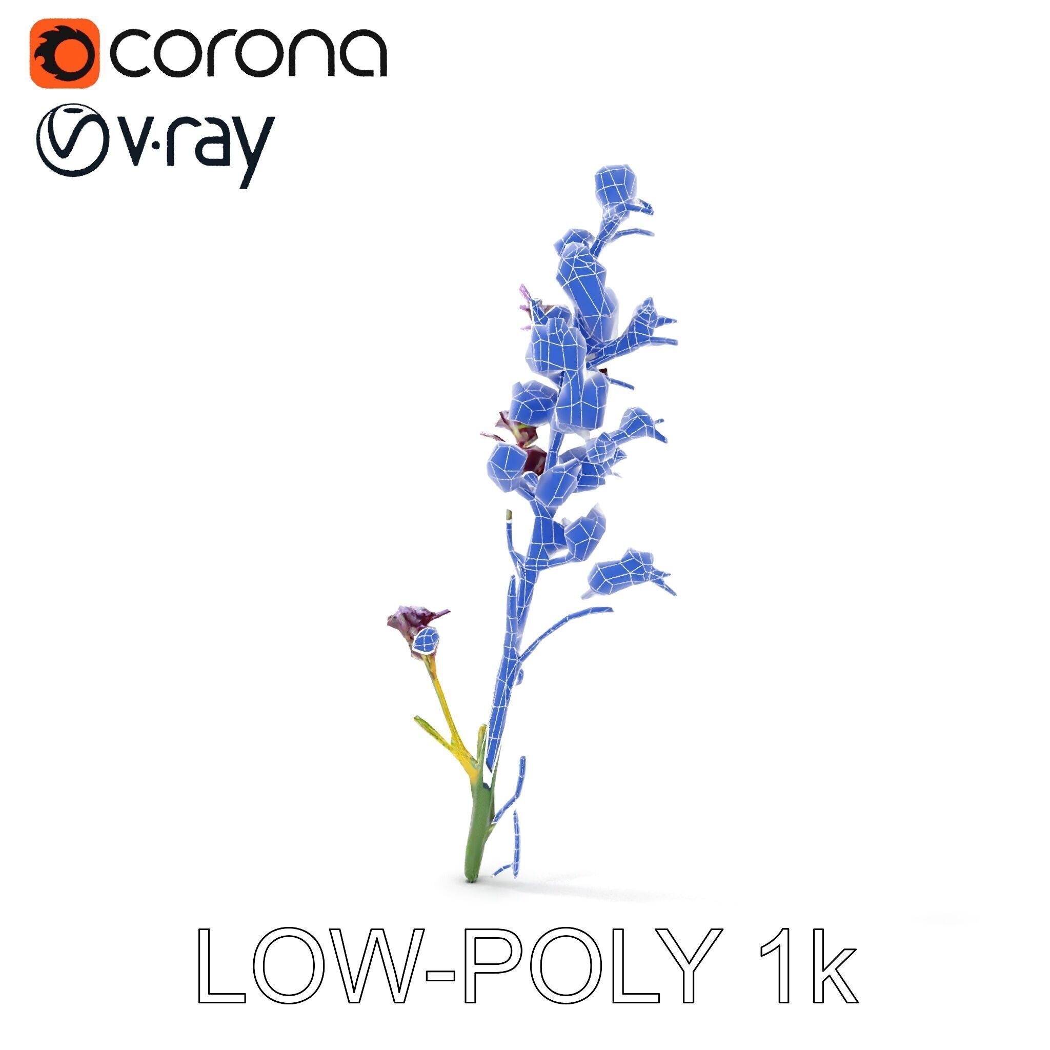 Lavender Flower D Model Pack Low-poly 3D model_32