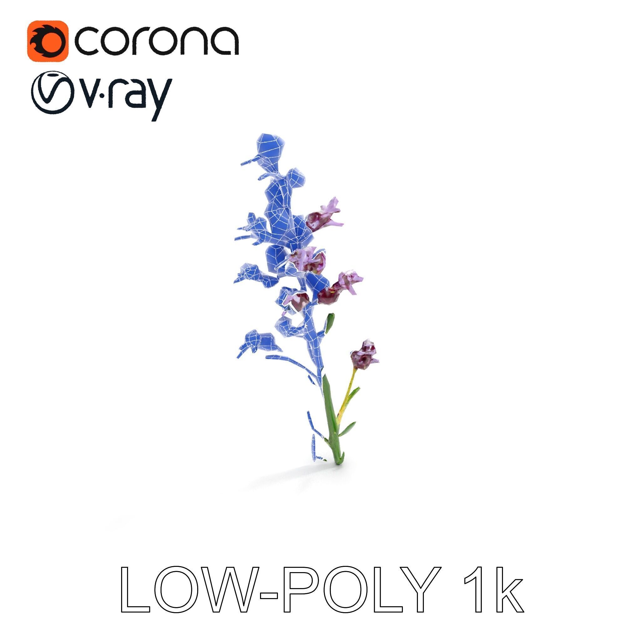 Lavender Flower D Model Pack Low-poly 3D model_29