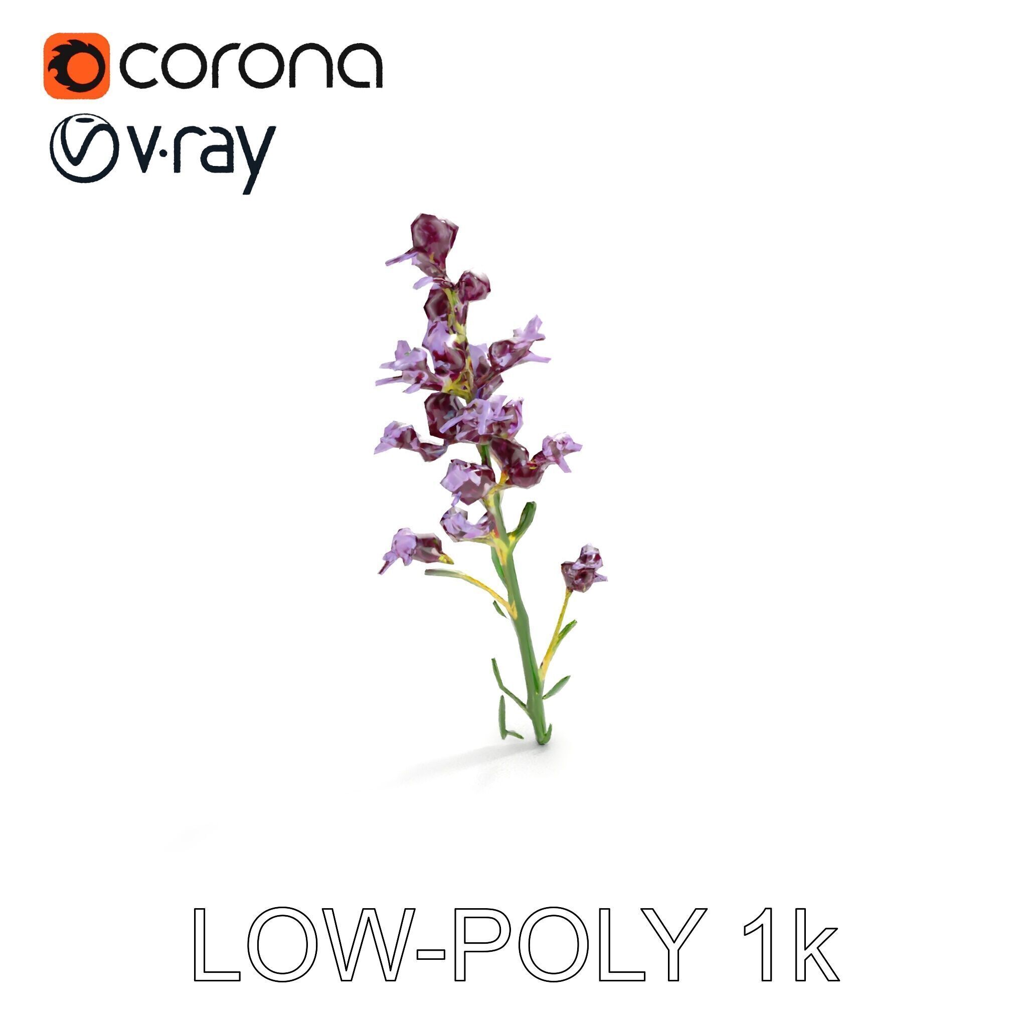 Lavender Flower D Model Pack Low-poly 3D model_10