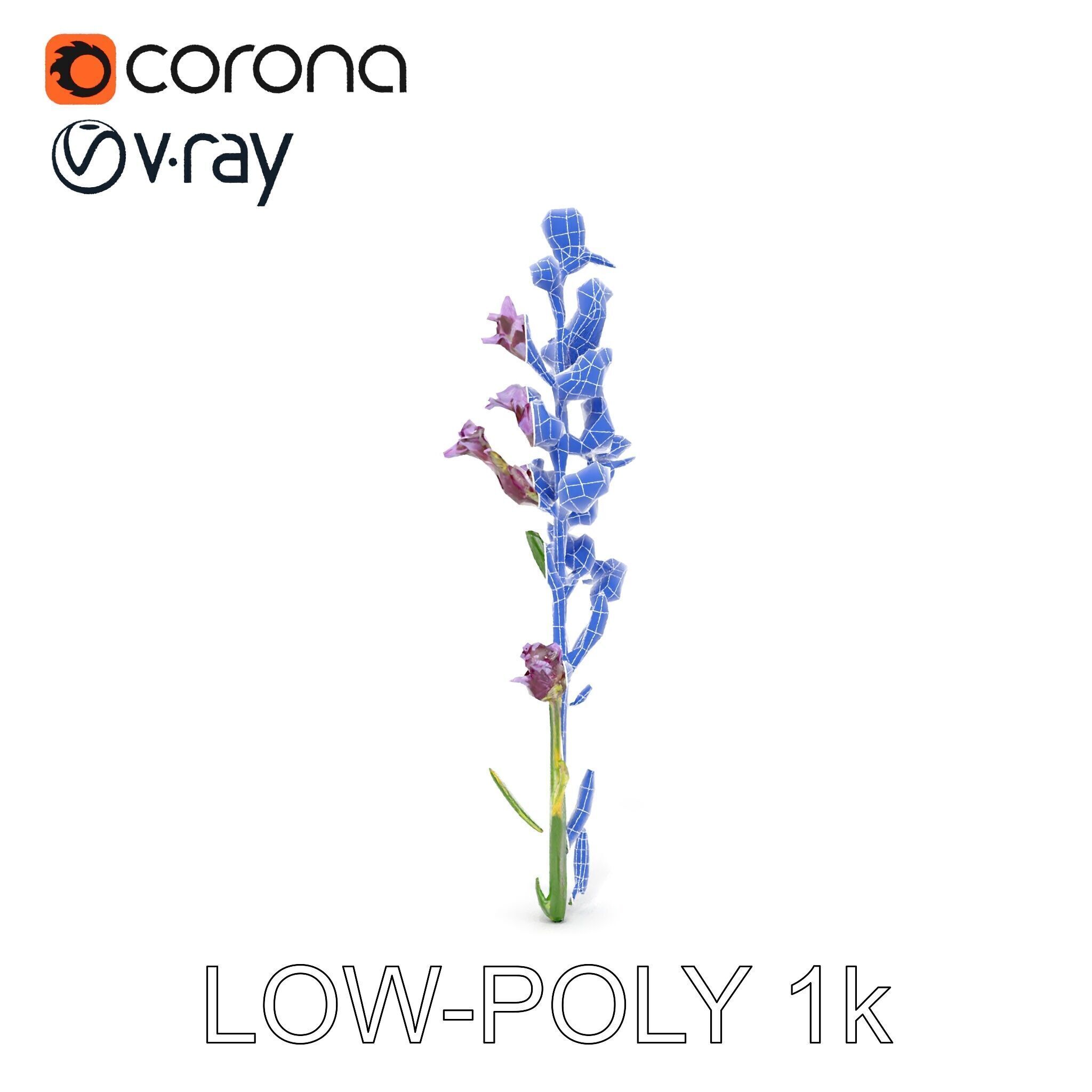 Lavender Flower D Model Pack Low-poly 3D model_20