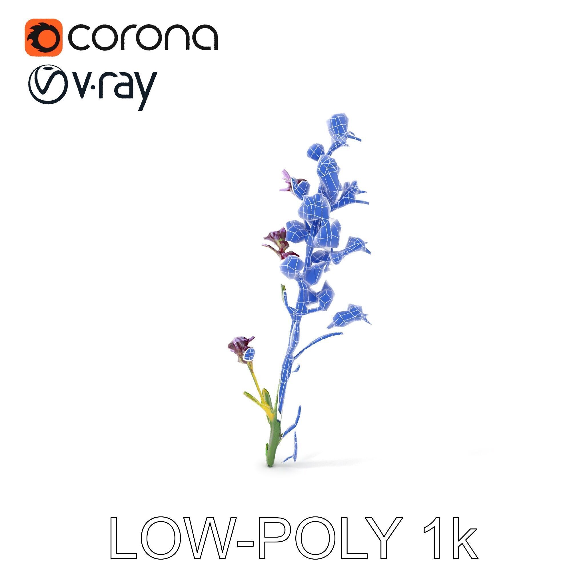 Lavender Flower D Model Pack Low-poly 3D model_23