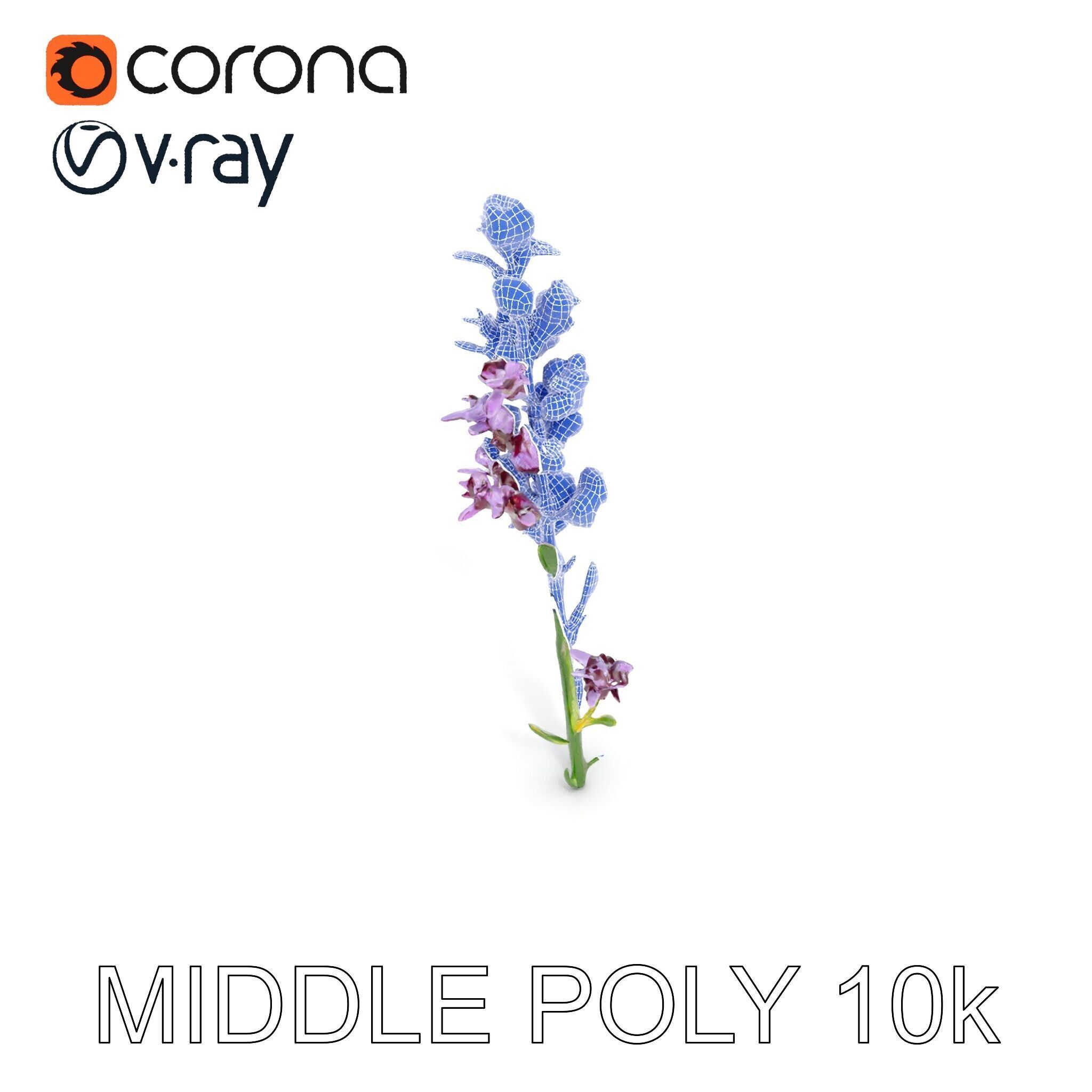Lavender Flower D Model Pack Low-poly 3D model_16