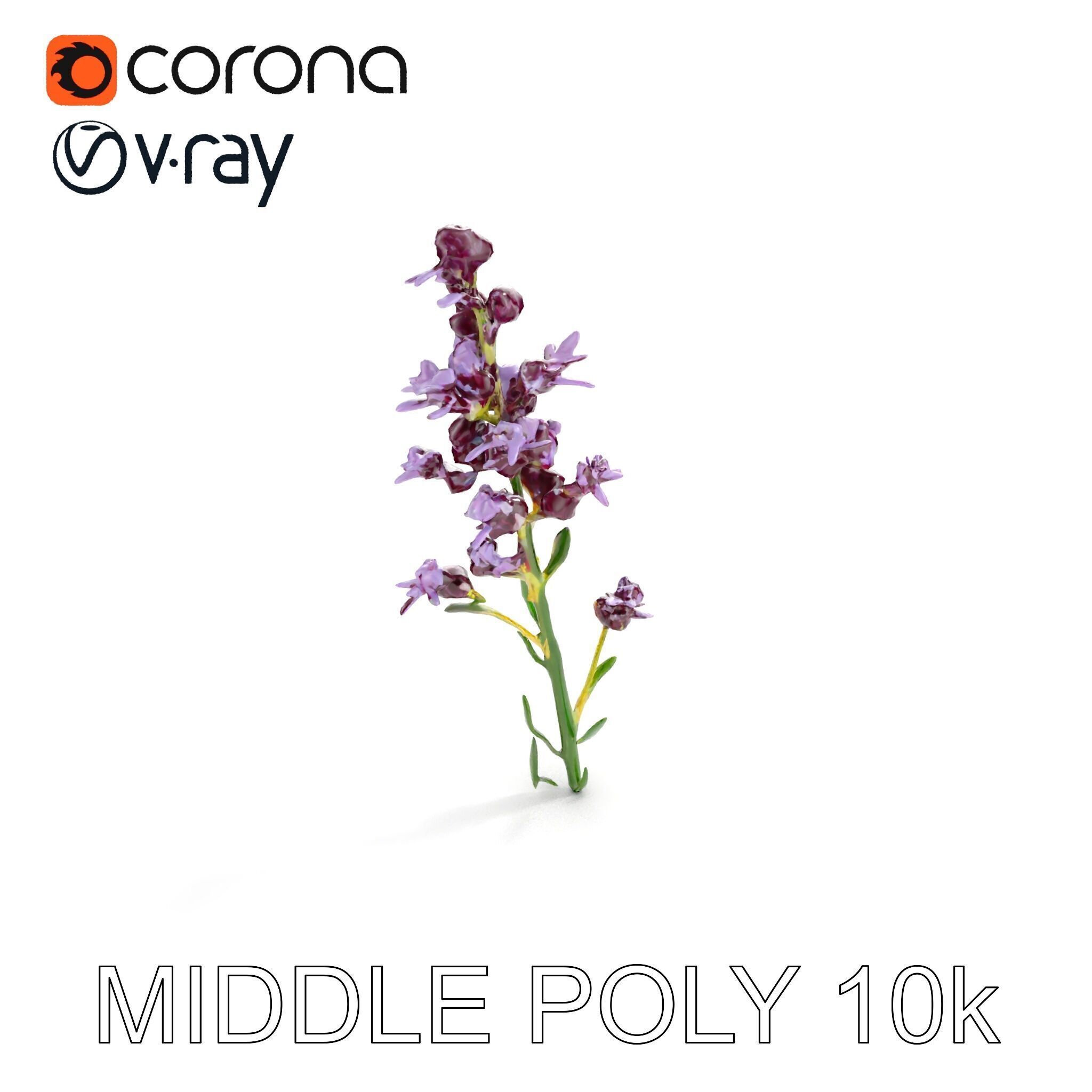 Lavender Flower D Model Pack Low-poly 3D model_14