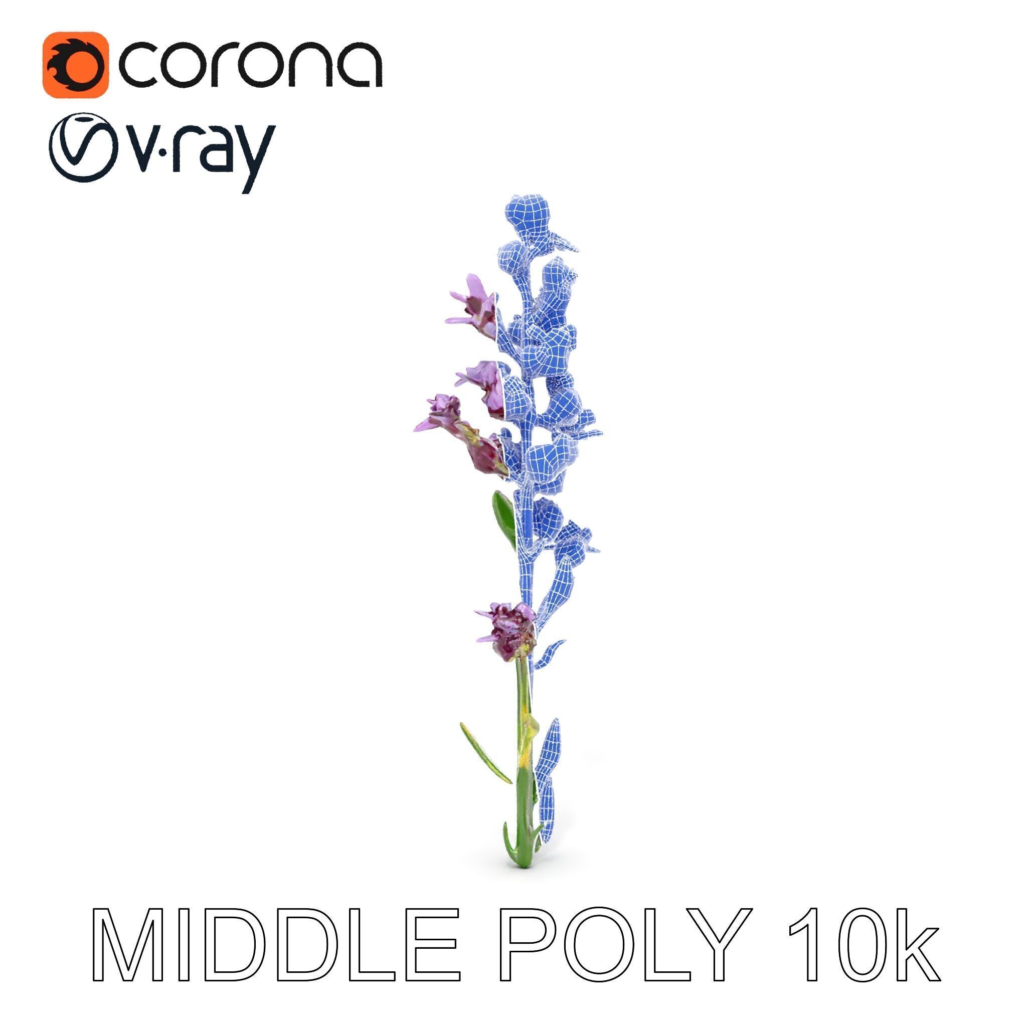 Lavender Flower D Model Pack Low-poly 3D model_28