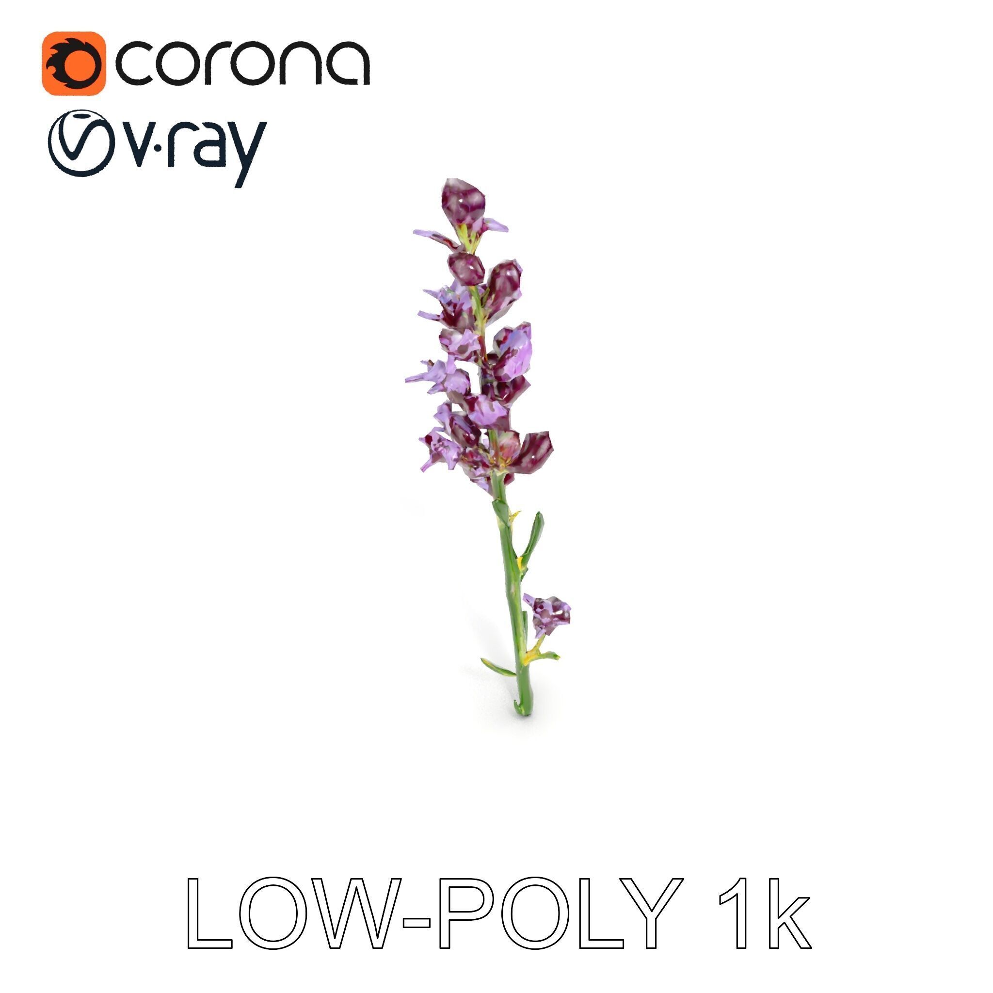 Lavender Flower D Model Pack Low-poly 3D model_26