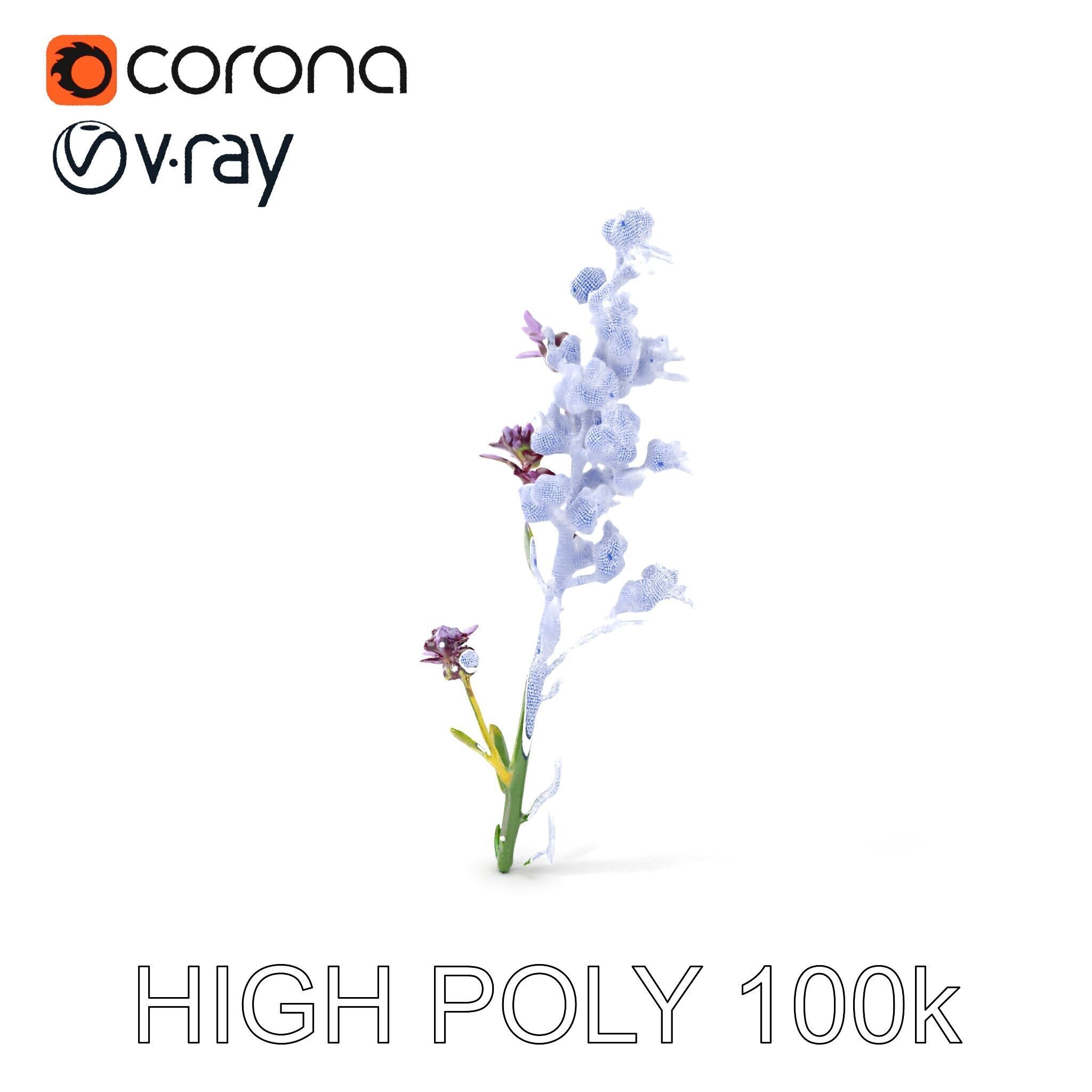 Lavender Flower D Model Pack Low-poly 3D model_5