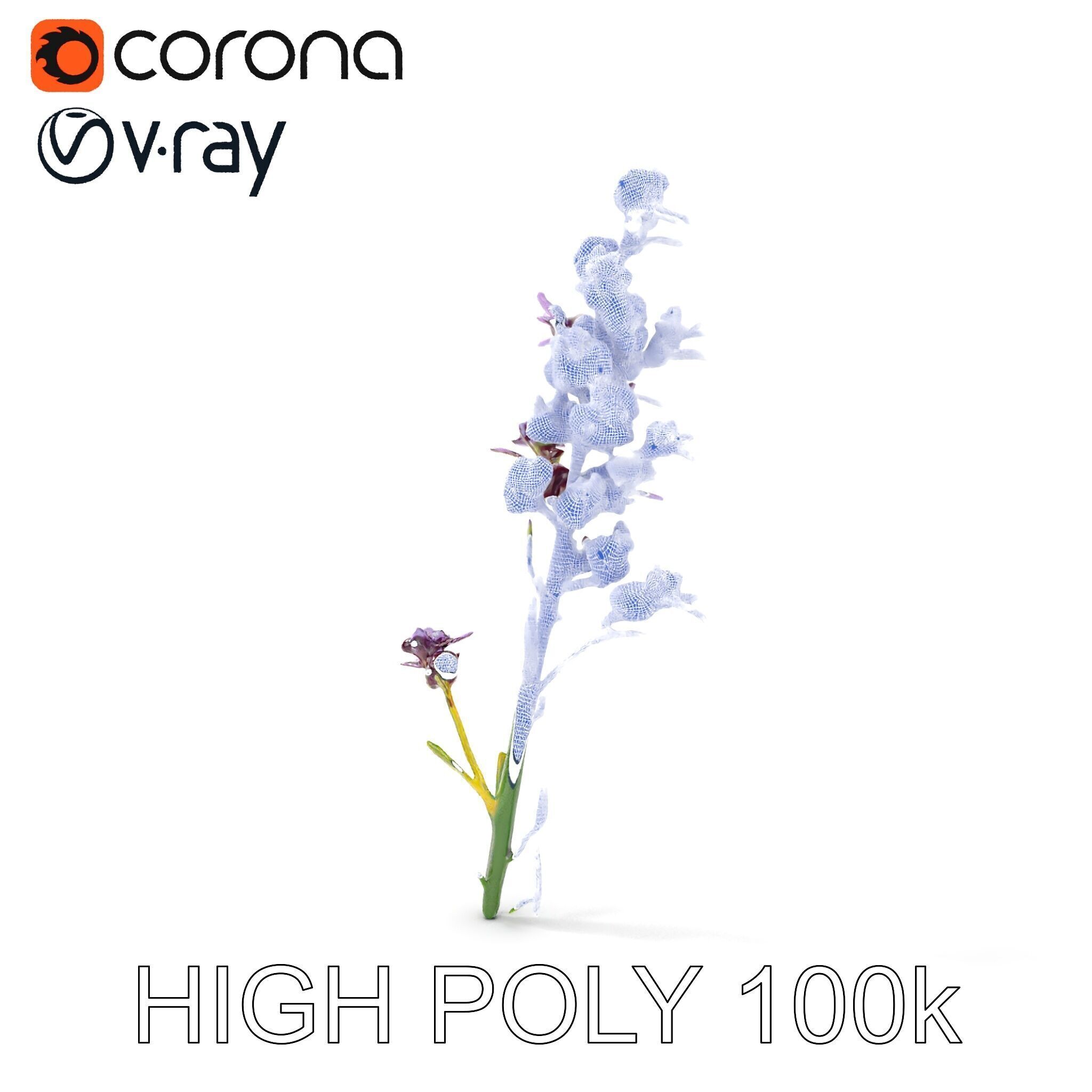Lavender Flower D Model Pack Low-poly 3D model_30