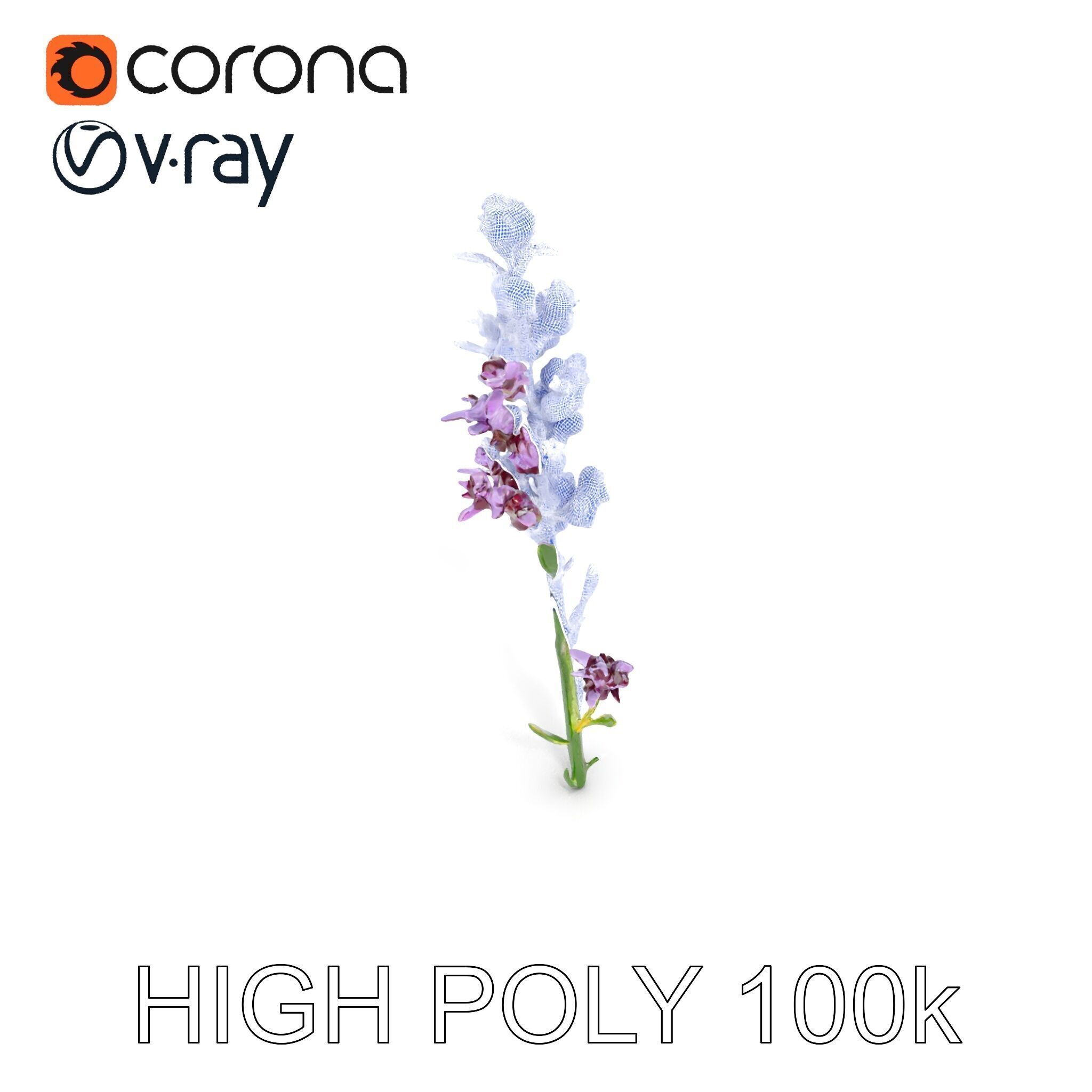 Lavender Flower D Model Pack Low-poly 3D model_24