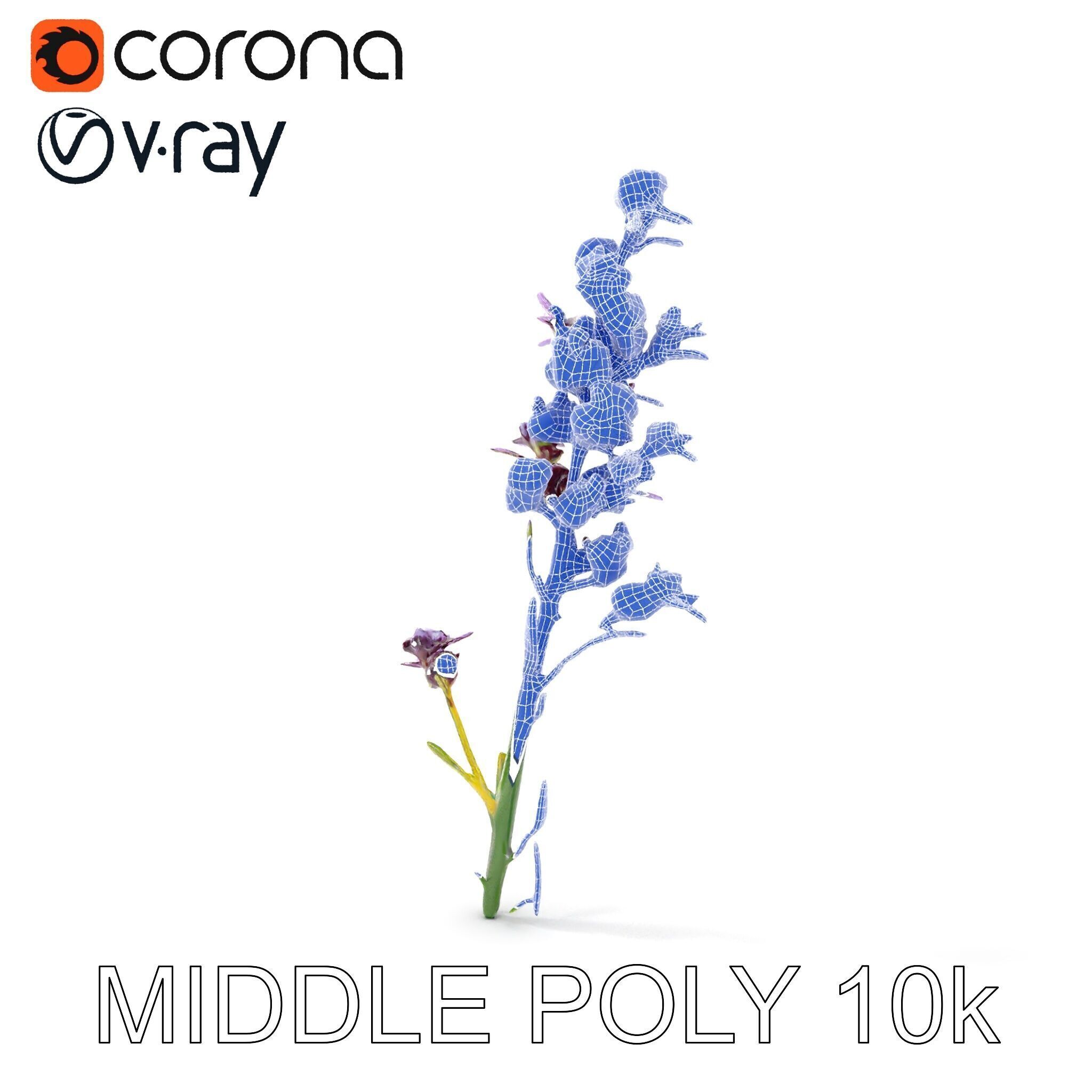 Lavender Flower D Model Pack Low-poly 3D model_31