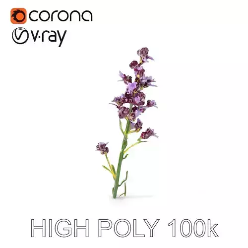 Lavender Flower D Model Pack Low-poly 3D model