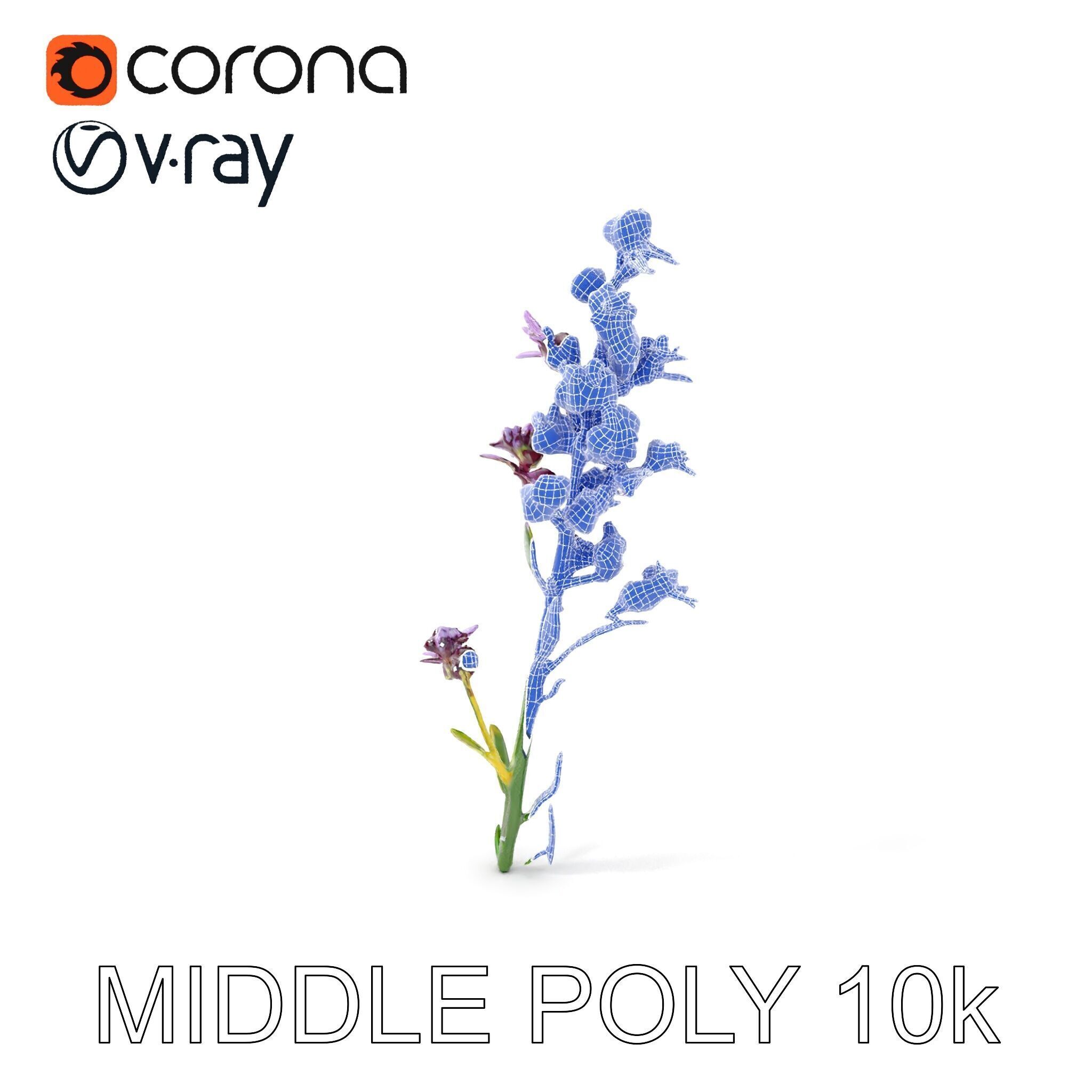 Lavender Flower D Model Pack Low-poly 3D model_25
