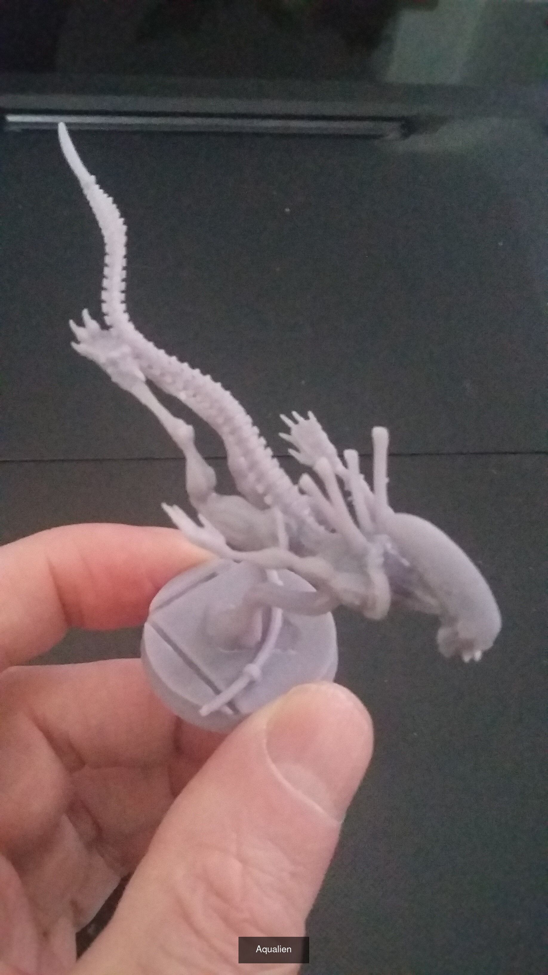 Aqualiens 3D Model Collection_2