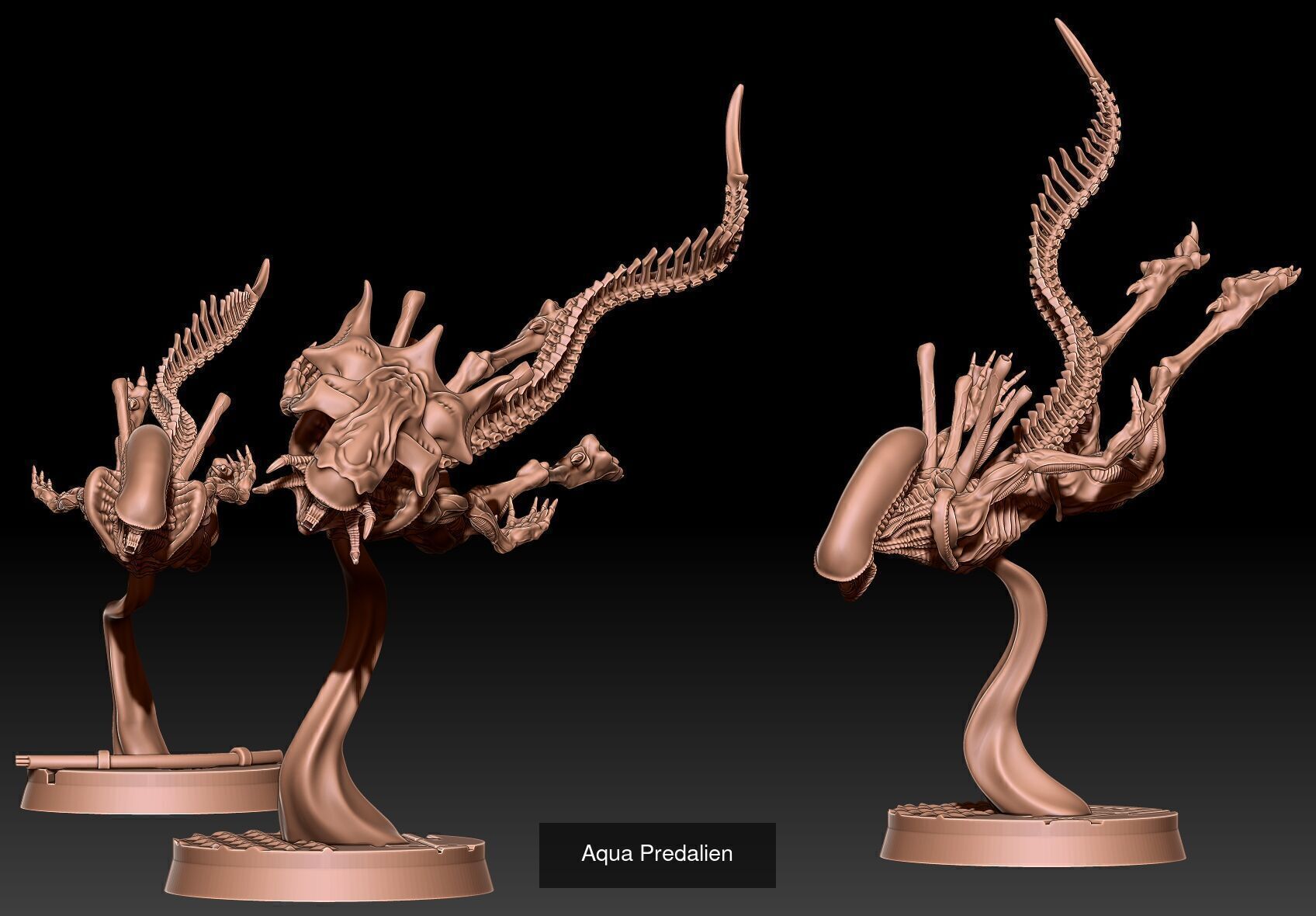 Aqualiens 3D Model Collection_1