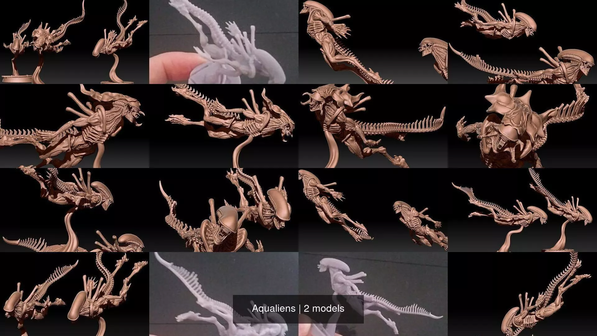 Aqualiens 3D Model Collection_0