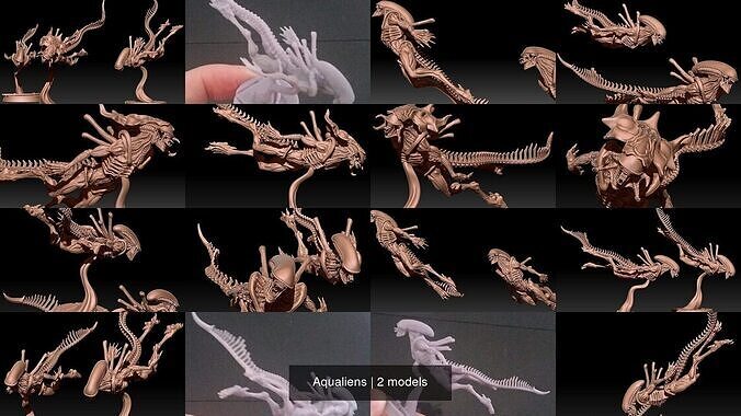 Aqualiens 3D Model Collection